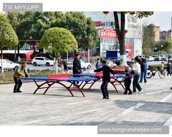 北京乒乓球队技术分析与发展探讨聚焦乒乓球运动的未来趋势与挑战