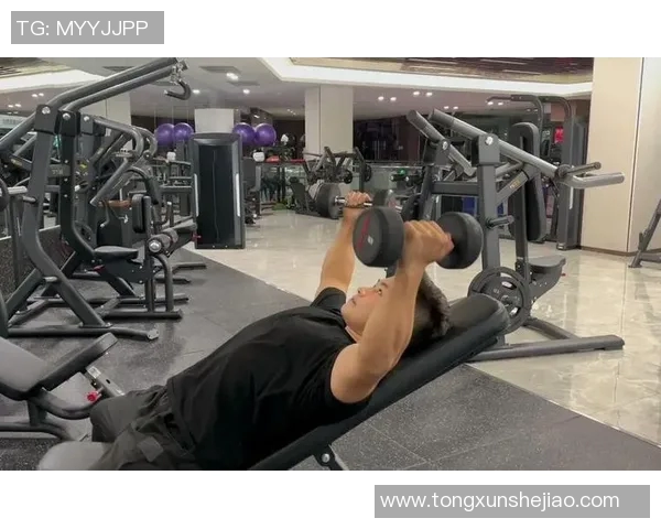 杨磊独家分享篮球心得与技巧助你提升球技的全面指南