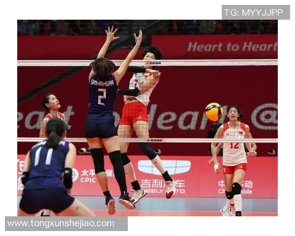 杭州排球队的节奏解析与深度剖析排球运动的魅力与技巧