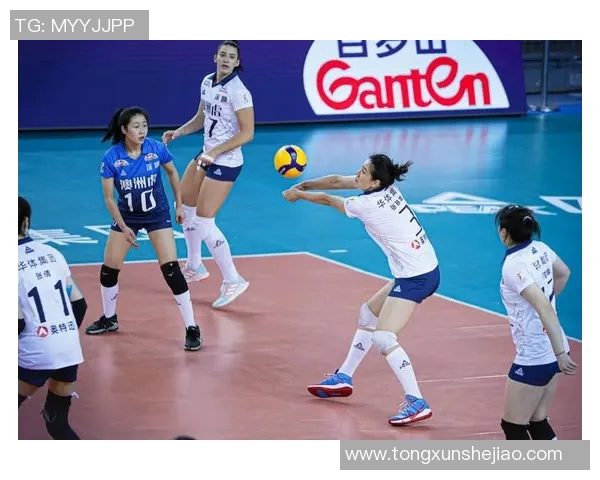 深圳排球队实力展现引发关注大满贯点评其表现与未来发展