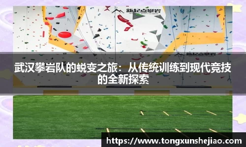 武汉攀岩队的蜕变之旅：从传统训练到现代竞技的全新探索