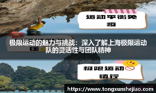 极限运动的魅力与挑战：深入了解上海极限运动队的灵活性与团队精神