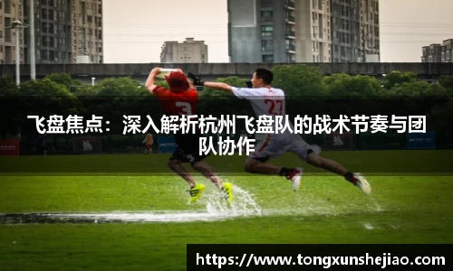 飞盘焦点：深入解析杭州飞盘队的战术节奏与团队协作